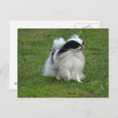 Carte Postale Chine japonaise (Devant / Derrière)