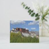 Carte Postale Chine, Tibet, Lhassa, Potala Palace 3 (Debout devant)