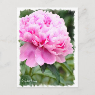 Carte Postale Chinese Peony [Carte postale] ポ ド ー カ