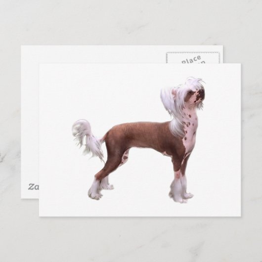 Carte Postale Chinois arrêté (Devant / Derrière)