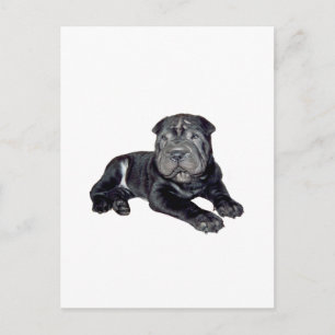 Carte Postale Chinois Shar Pei - chiot noir