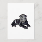 Carte Postale Chinois Shar Pei - chiot noir (Devant)