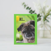 Carte postale chinoise Carlin Dog Hi (Debout devant)