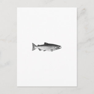 Carte Postale Chinook - Logo King Saumon (noir et blanc)