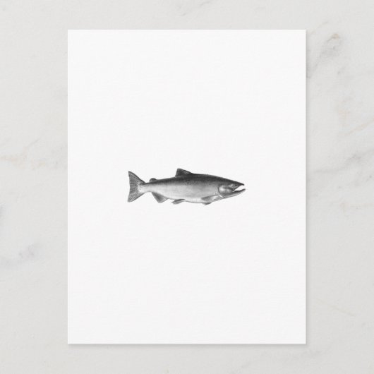 Carte Postale Chinook - Logo King Saumon (noir et blanc) (Devant)
