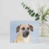 Carte Postale Chinook (Oreilles Laissées) Peinture - Art Chien o (Debout devant)