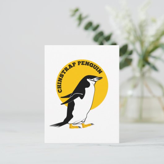 Carte Postale Chinstrap penguin (Debout devant)