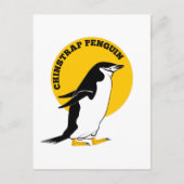 Carte Postale Chinstrap penguin (Devant)