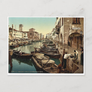 Carte Postale Chioggia, marché aux poissons, Venise, Italie Phot