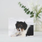 Carte Postale chiot (Debout devant)