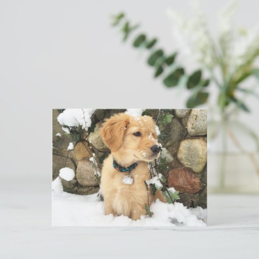 Carte Postale Chiot à neige (Debout devant)