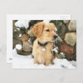 Carte Postale Chiot à neige (Devant / Derrière)