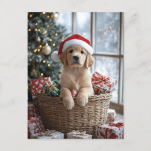 Carte Postale Chiot adorable avec chapeau de Père Noël dans le p