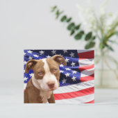 Carte Postale Chiot américain Pitbull (Debout devant)