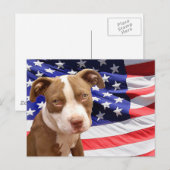 Carte Postale Chiot américain Pitbull (Devant / Derrière)