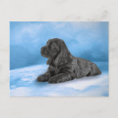 Carte Postale Chiot anglais Cocker Spaniel (Devant)