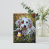 Carte Postale Chiot Avec Bouteille De Bière (Debout devant)