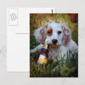 Carte Postale Chiot Avec Bouteille De Bière (Devant / Derrière)