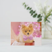 Carte Postale Chiot avec bow (Debout devant)