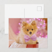 Carte Postale Chiot avec bow (Devant / Derrière)