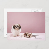 Carte Postale Chiot avec gâteau à l'étage (Devant / Derrière)