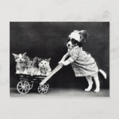 Carte Postale Chiot avec trois chatons dans un chariot (Devant)