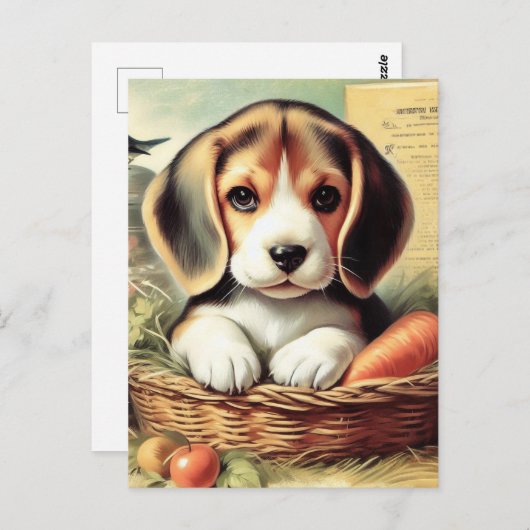 Carte Postale Chiot Beagle vintage (Devant / Derrière)