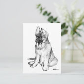 Carte Postale Chiot berger allemand (Debout devant)