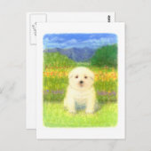 Carte Postale Chiot blanc (Devant / Derrière)