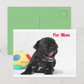 Carte Postale chiot bouledogue français (Devant / Derrière)