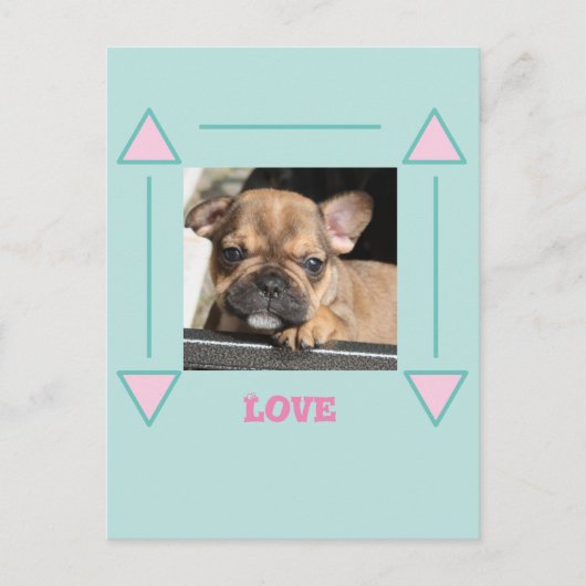 Carte Postale Chiot Bouledogue Français Love, (Devant)