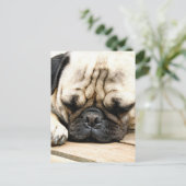 Carte Postale chiot carlin (Debout devant)