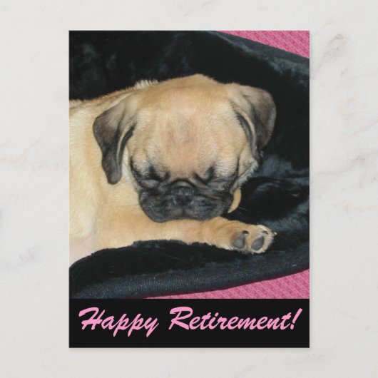 Carte Postale Chiot Carlin mignon (Devant)