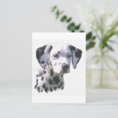 Carte Postale Chiot dalmate (Debout devant)