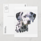 Carte Postale Chiot dalmate (Devant / Derrière)