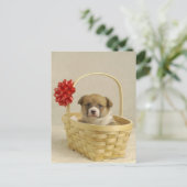 Carte Postale Chiot dans un panier (Debout devant)