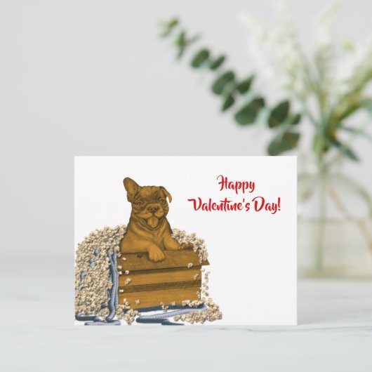 Carte Postale Chiot dans une boîte, Heureuse Sainte-Valentin ! (Debout devant)