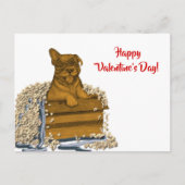 Carte Postale Chiot dans une boîte, Heureuse Sainte-Valentin ! (Devant)