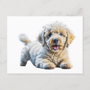 Carte Postale Chiot de caniche
