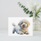 Carte Postale Chiot de caniche (Debout devant)