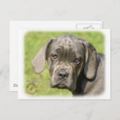 Carte Postale Chiot de canne Corso 8R062D-25 (Devant / Derrière)