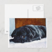 Carte Postale Chiot de Carlin noir (Devant / Derrière)