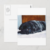 Carte Postale Chiot de Carlin noir (Devant / Derrière)