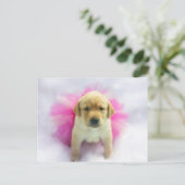 Carte Postale Chiot de laboratoire jaune (Debout devant)