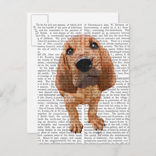 Carte Postale Chiot de limier (Devant / Derrière)