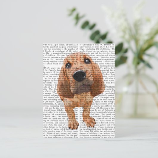 Carte Postale Chiot de limier (Debout devant)