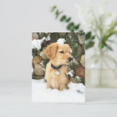Carte Postale Chiot de neige (Debout devant)
