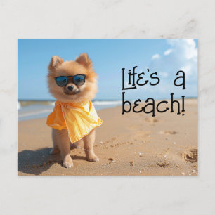 Carte Postale Chiot de Poméranie portant des lunettes de soleil