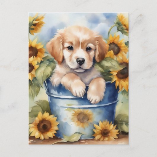 Carte Postale Chiot de tournesol (Devant)