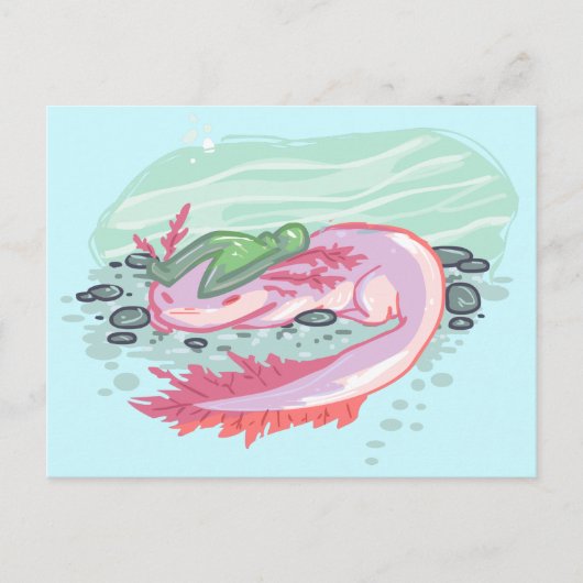 Carte Postale Chiot d'eau Axolotl (Devant)
